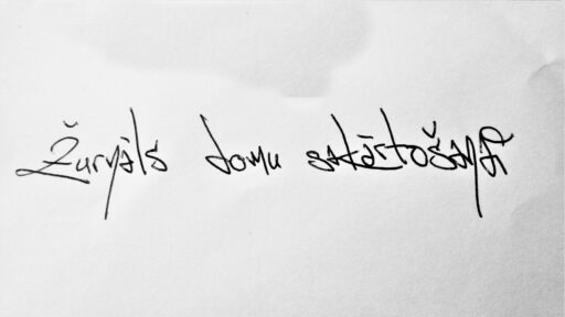 Žurnāls domu sakārtošanai (rokrakstā)